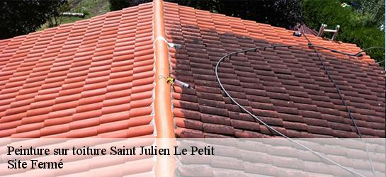 Peinture sur toiture  87460