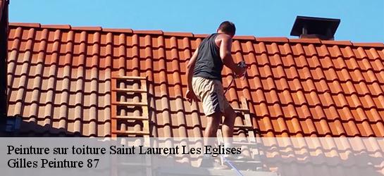 Peinture sur toiture 87340
