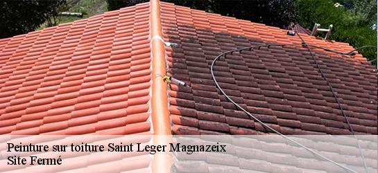 Peinture sur toiture 87190