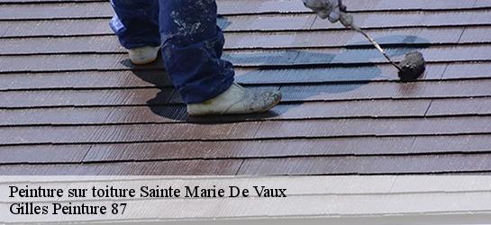 Peinture sur toiture 87420