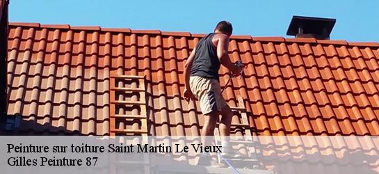 Peinture sur toiture 87700