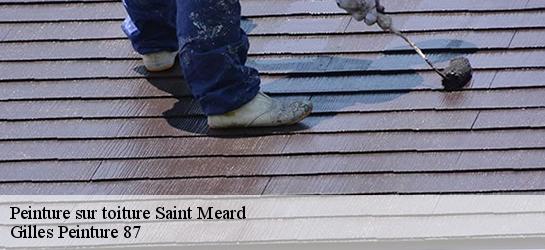 Peinture sur toiture 87130
