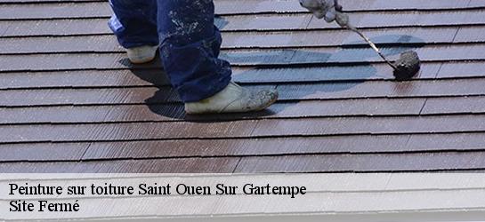 Peinture sur toiture  87300
