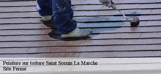 Peinture sur toiture 87210