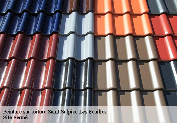 Peinture sur toiture saint-sulpice-les-feuilles-87160 Site Fermé