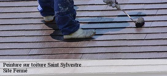 Peinture sur toiture  87240