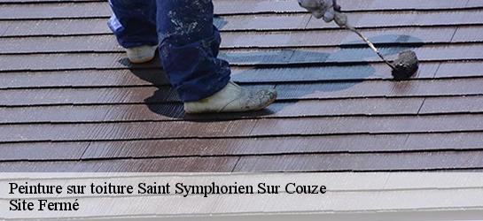 Peinture sur toiture 87140