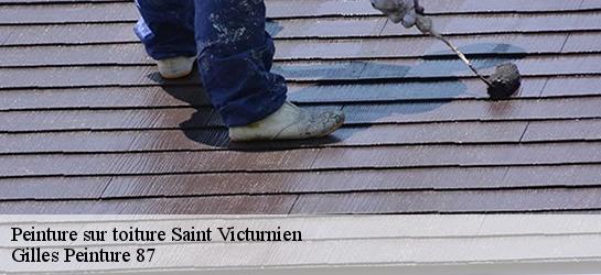 Peinture sur toiture 87420