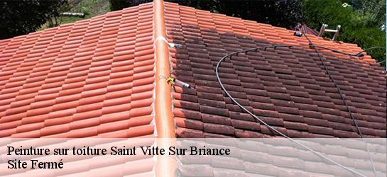 Peinture sur toiture 87380