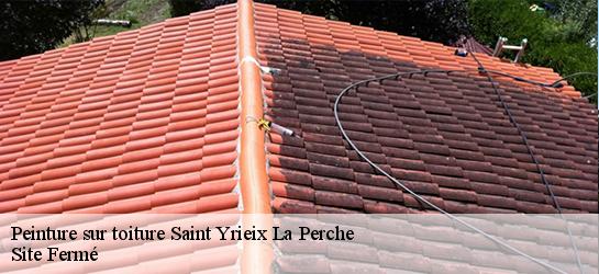 Peinture sur toiture 87500