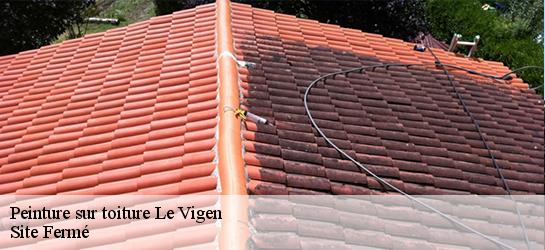 Peinture sur toiture  87110
