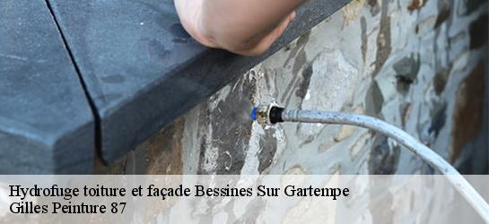 Hydrofuge toiture et façade  87250