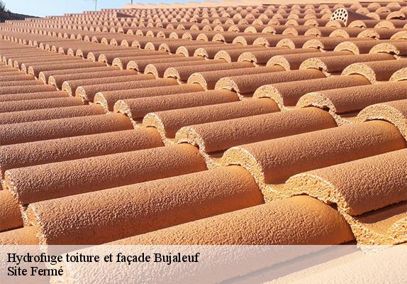 Hydrofuge toiture et façade bujaleuf-87460 Site Fermé