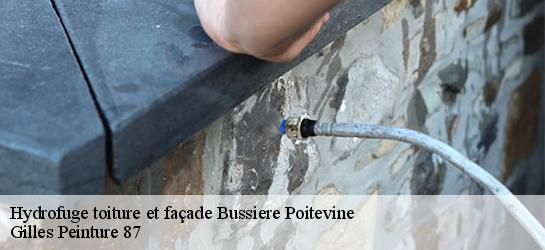 Hydrofuge toiture et façade 87320