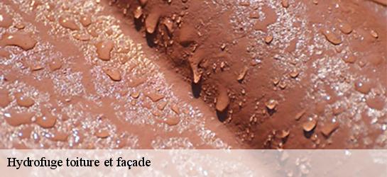 Hydrofuge toiture et façade 87130