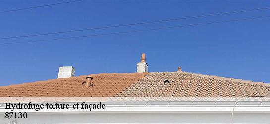 Hydrofuge toiture et façade 87130