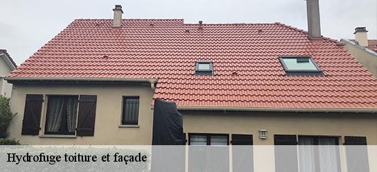 Hydrofuge toiture et façade 87130