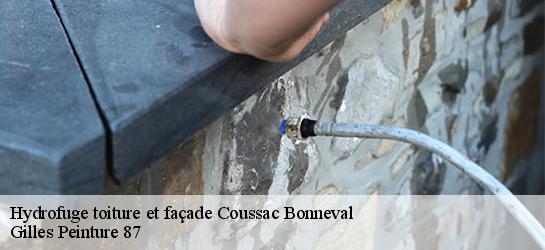 Hydrofuge toiture et façade 87500