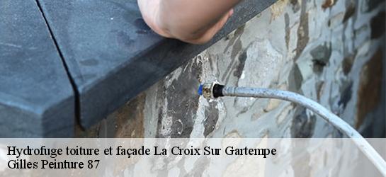 Hydrofuge toiture et façade  87210