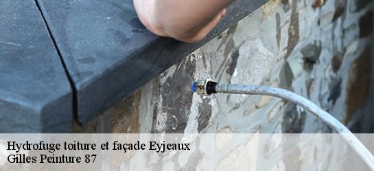 Hydrofuge toiture et façade 87220