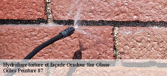 Hydrofuge toiture et façade  87520