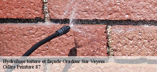 Hydrofuge toiture et façade  87150