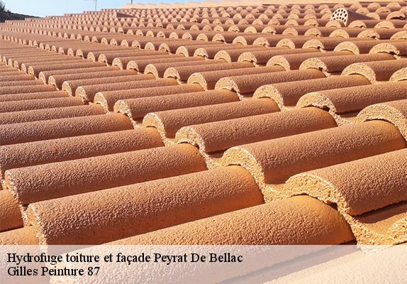 Hydrofuge toiture et façade peyrat-de-bellac-87300 Gilles Peinture 87