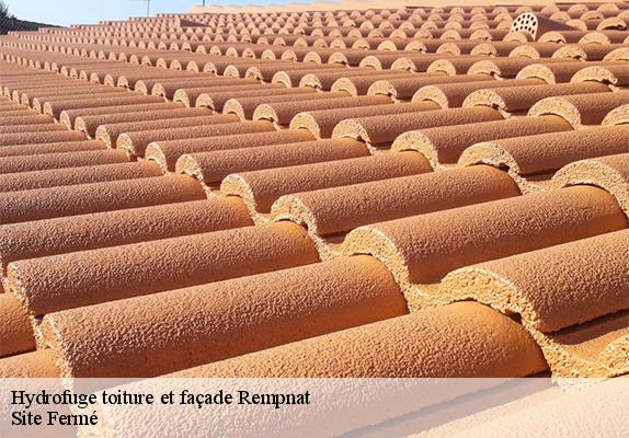 Hydrofuge toiture et façade rempnat-87120 Site Fermé