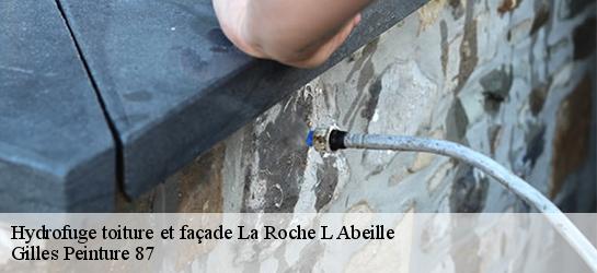 Hydrofuge toiture et façade  87800