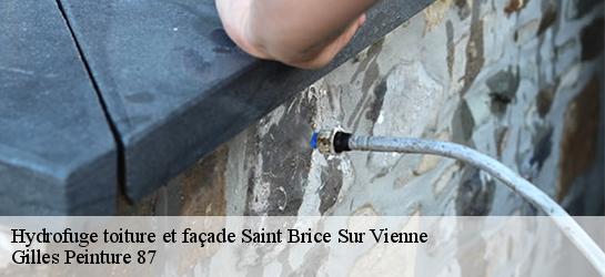 Hydrofuge toiture et façade 87200