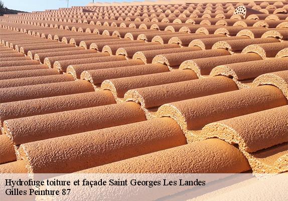 Hydrofuge toiture et façade saint-georges-les-landes-87160 Gilles Peinture 87