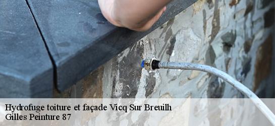 Hydrofuge toiture et façade 87260