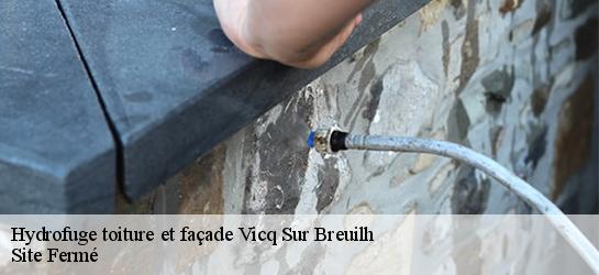 Hydrofuge toiture et façade 87260