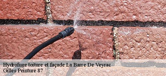 Hydrofuge toiture et façade  87520